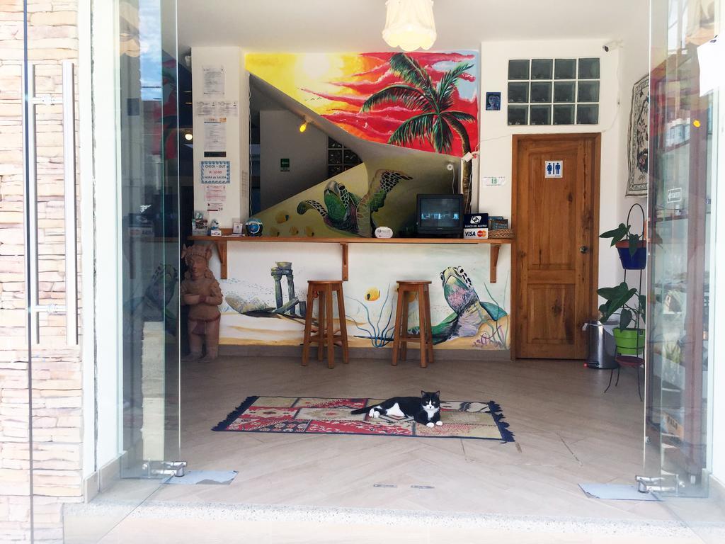 Hostal Yaku Montañita المظهر الخارجي الصورة